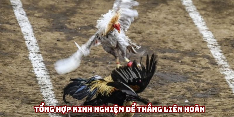 Tổng hợp kinh nghiệm để thắng liên hoàn